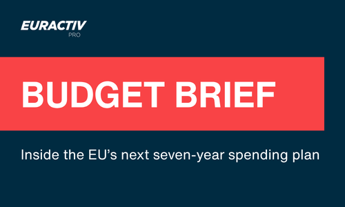 BUDGET BRIEF (1)